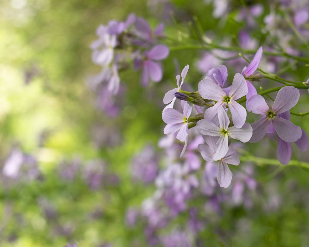 Photograph by Elena Lopatina