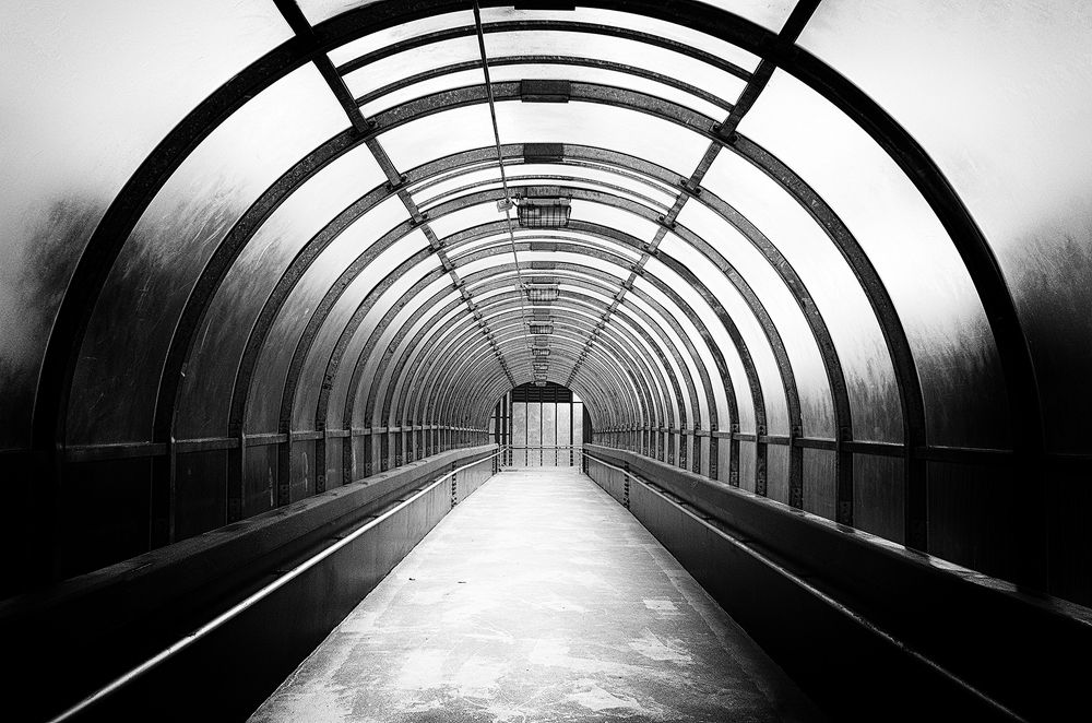 Между светом и тьмой