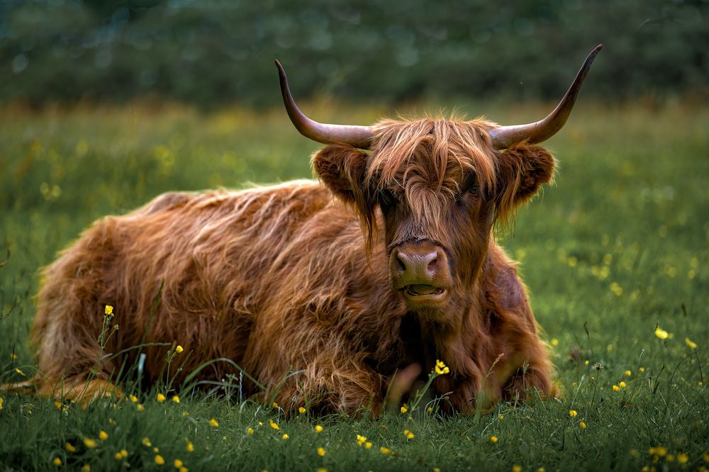 Фотография автора Emelyanov Alex