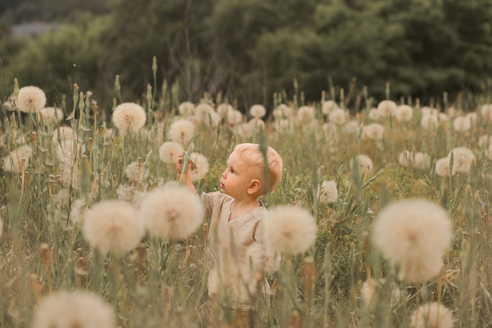 Photograph by Ольга Булавко