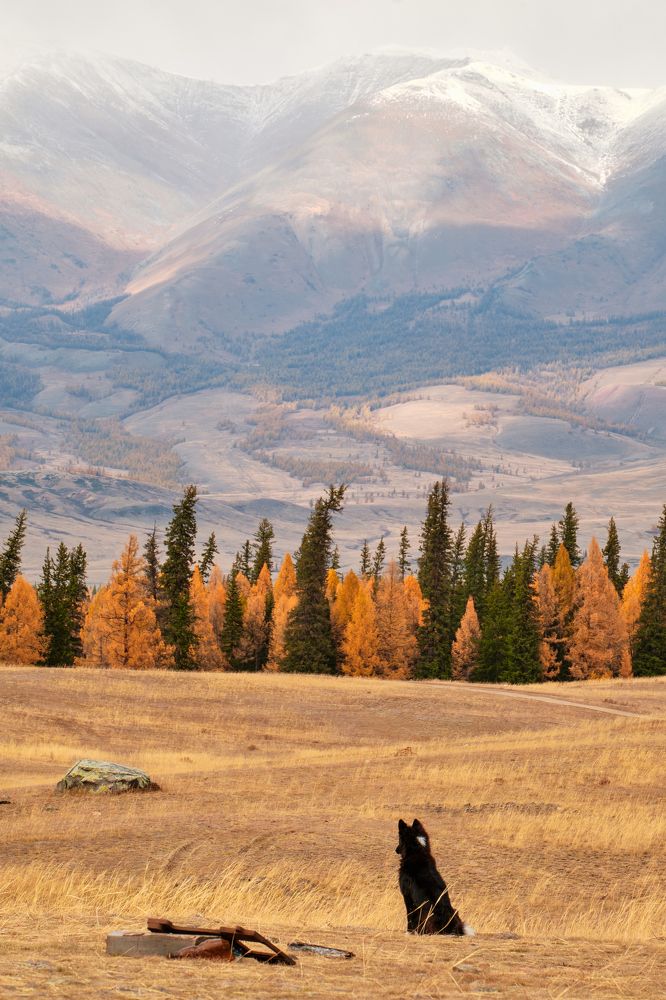 Фотография автора Владимир Эделев