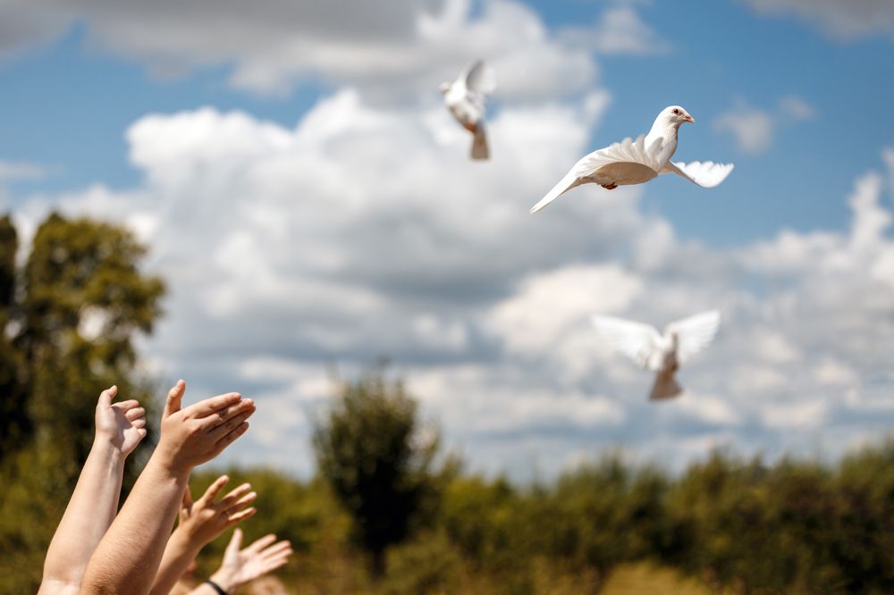 Photograph by Павел