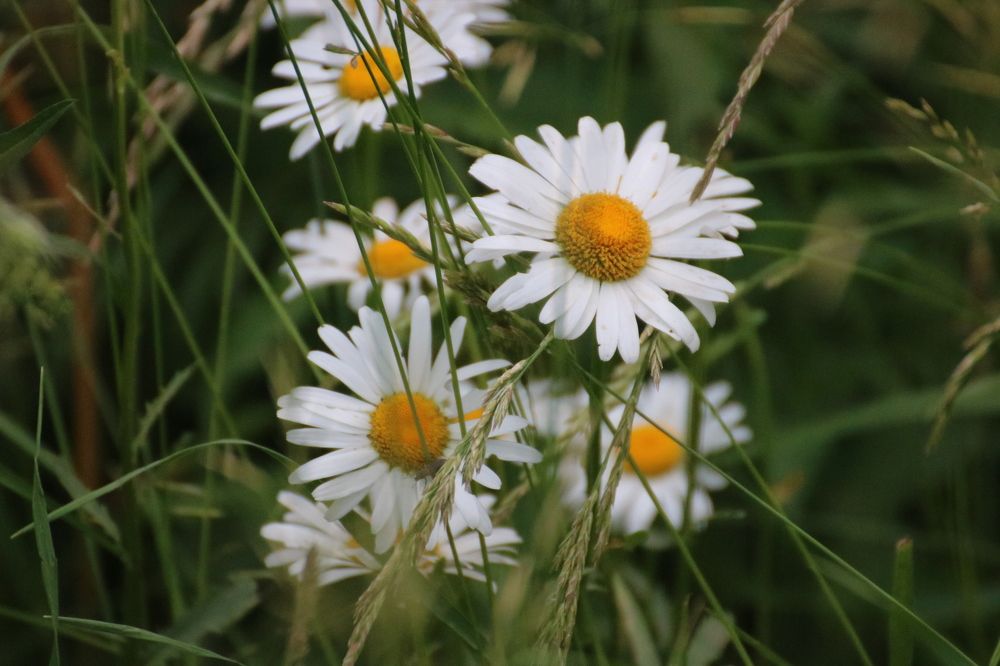 Photograph by Евгения Малафеева