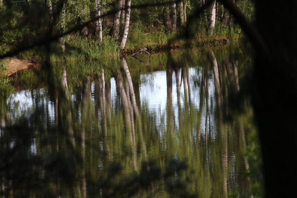 Photograph by Евгения Малафеева