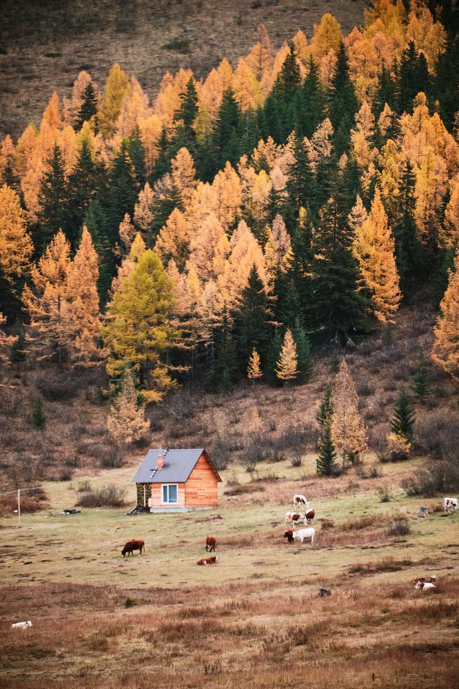 Фотография автора Владимир Эделев