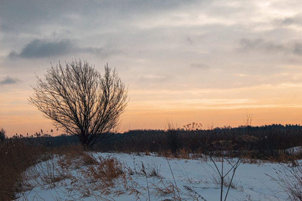 Photograph by Наталья Вололовцева