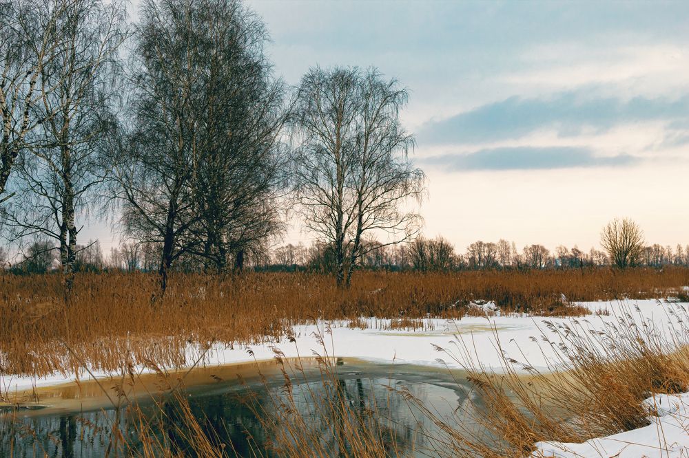 Photograph by Наталья Вололовцева
