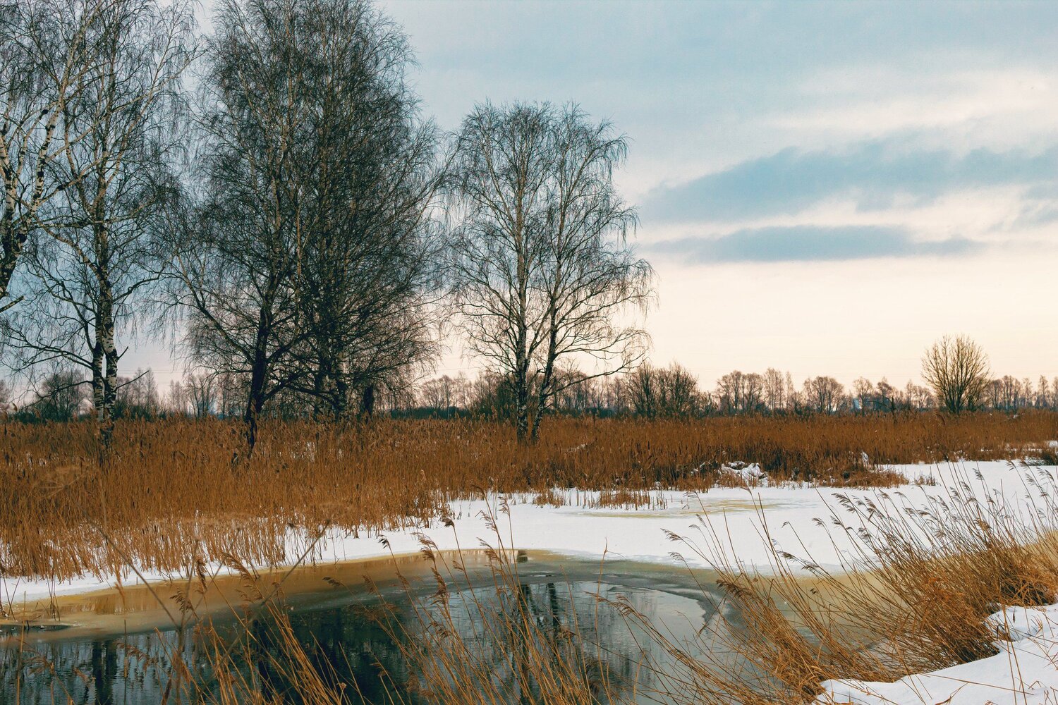 Photo #5897207