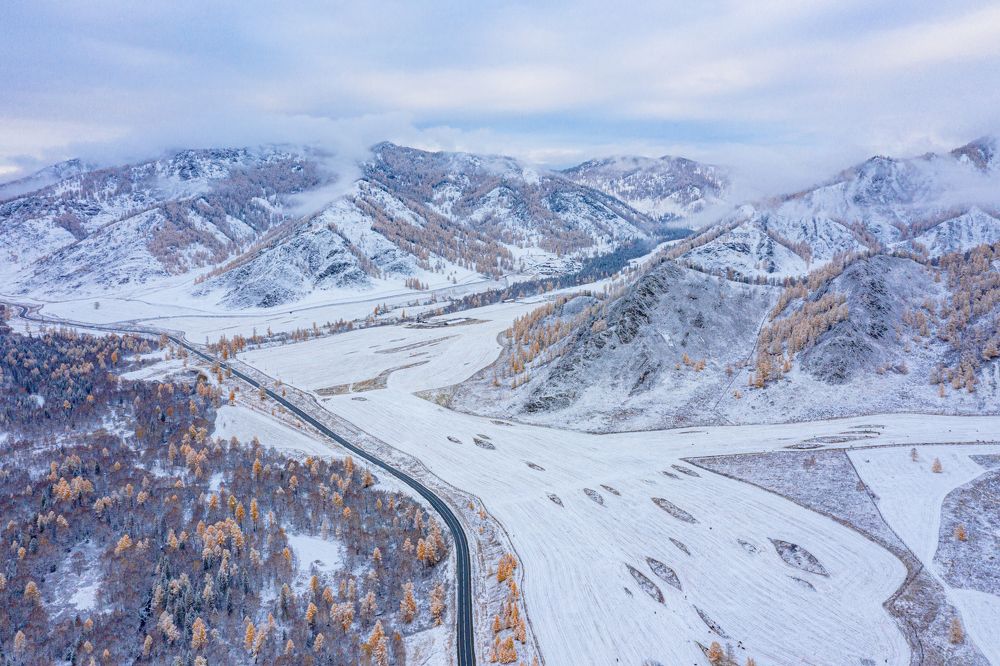 Фотография автора Владимир Эделев
