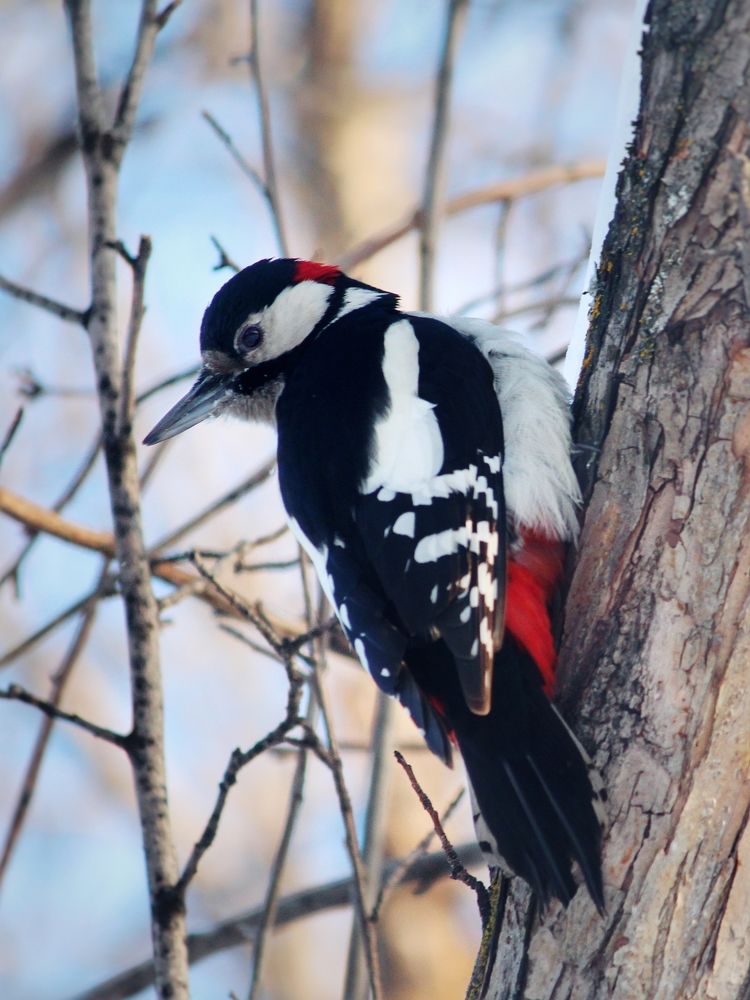 Photograph by Юлия Серазетдинова