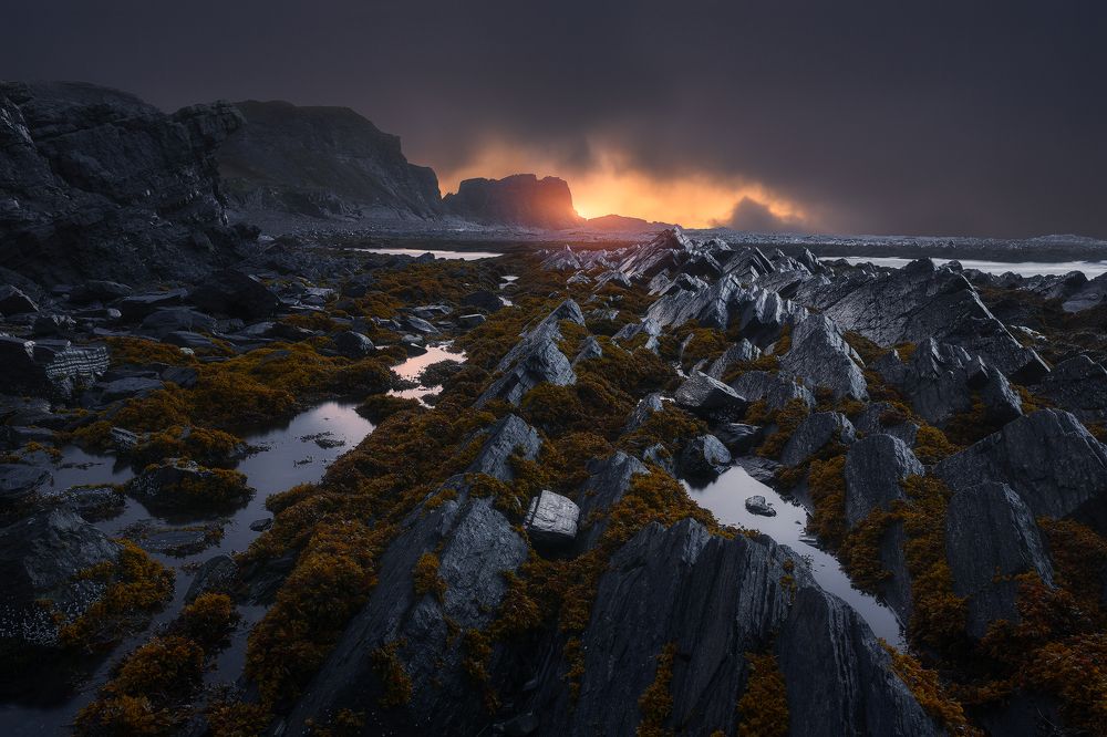 Photograph by Александр Дударев