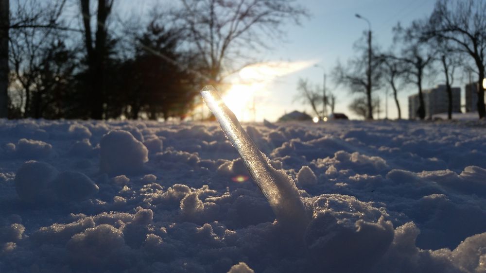 Сквозь толщу снега