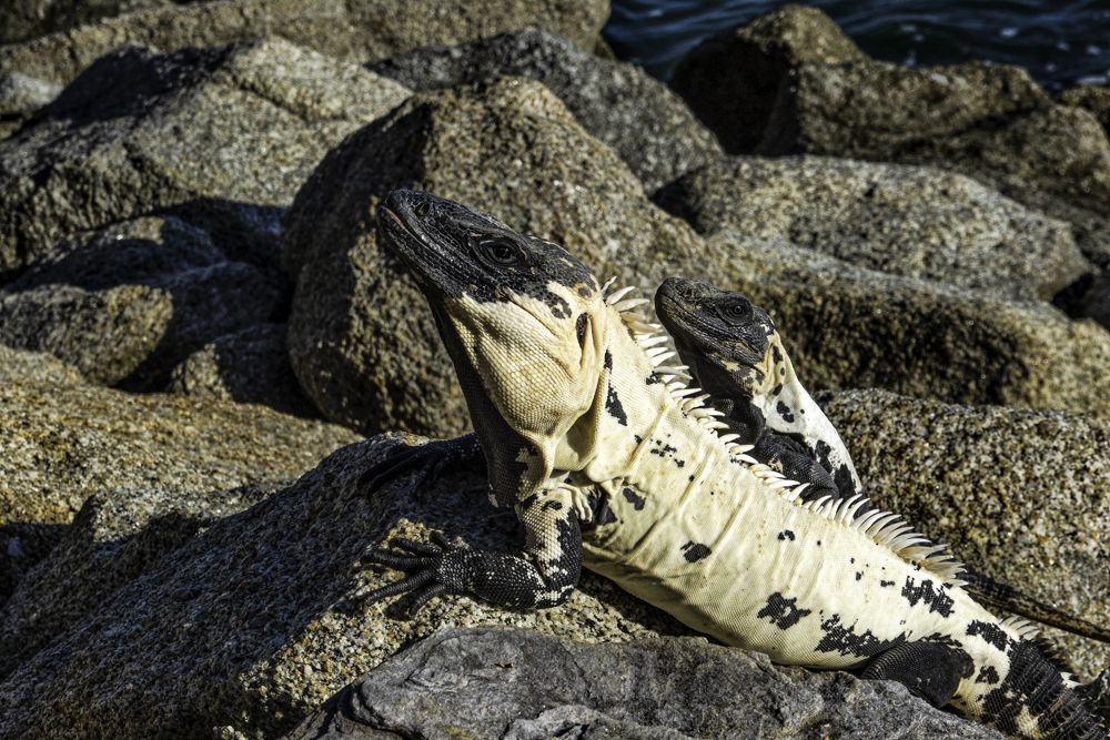 Photograph by Cathie Aalders-Taylor