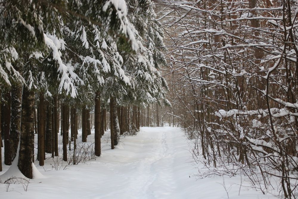Photograph by Евгения Малафеева