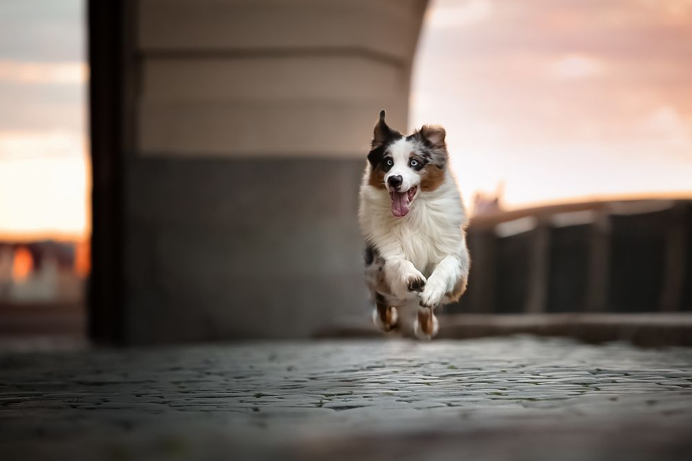 Photograph by Наталия Поникарова