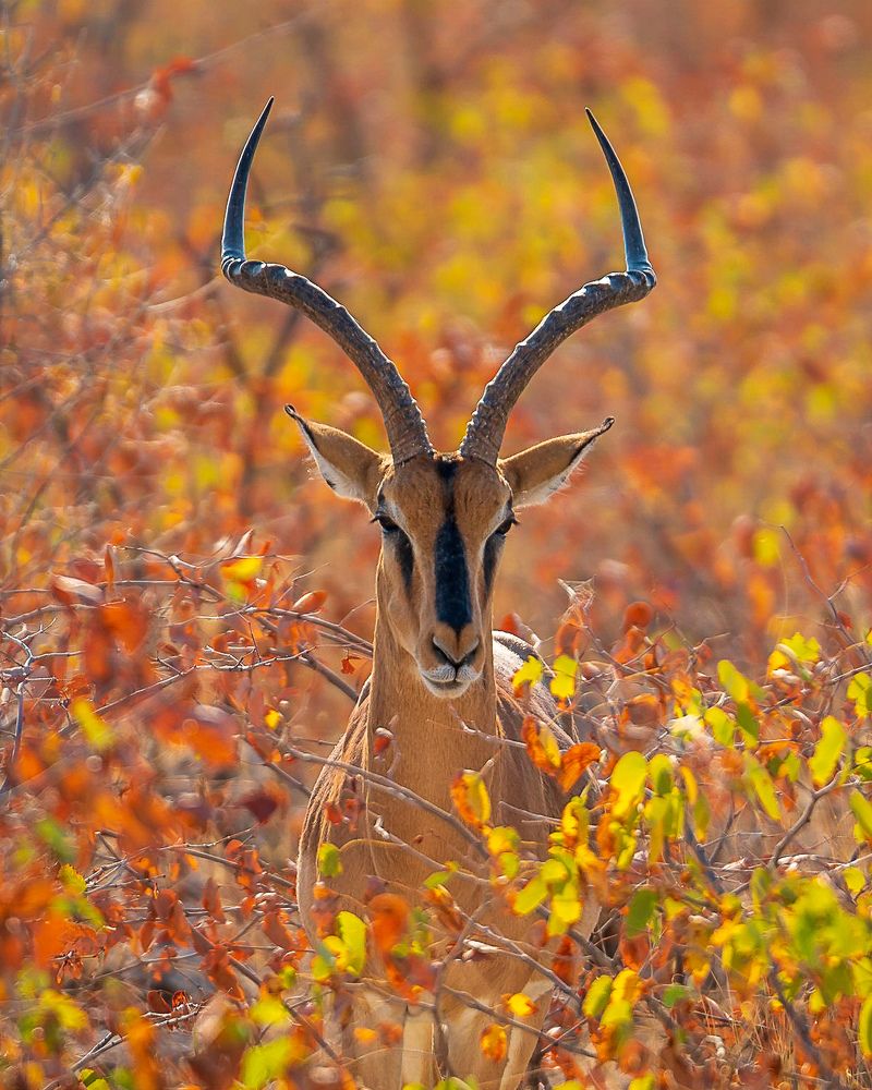 Фотография автора Илья Труханов