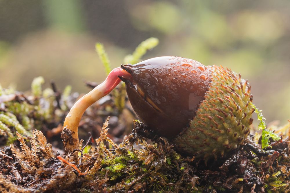 Photograph by João Santos