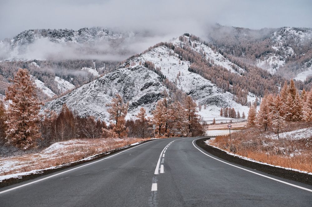 Фотография автора Владимир Эделев