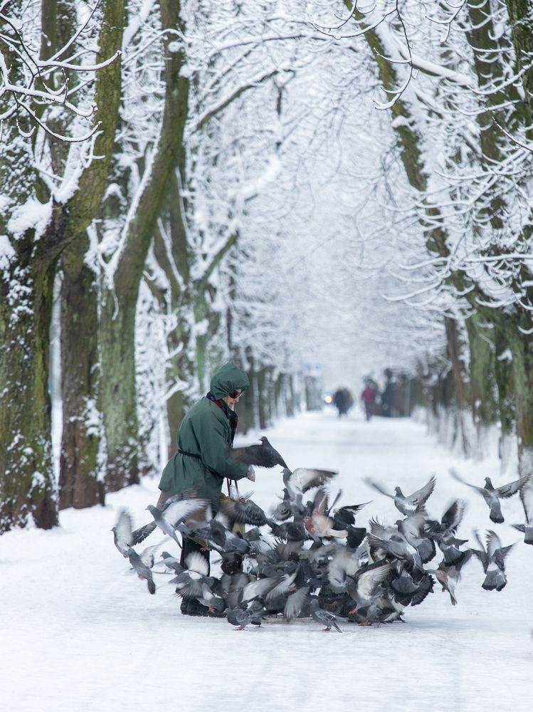 Photograph by Наталья Брюхненко