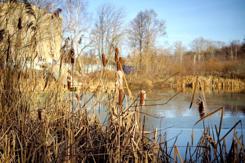 Photograph by вадим аврахов