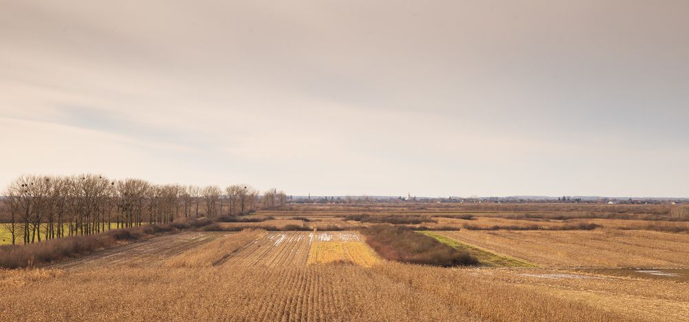 Autumn landscape