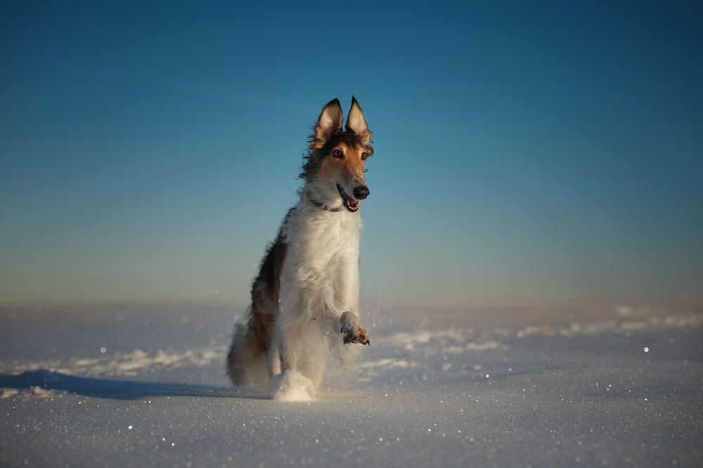 Прогулка по Марсу