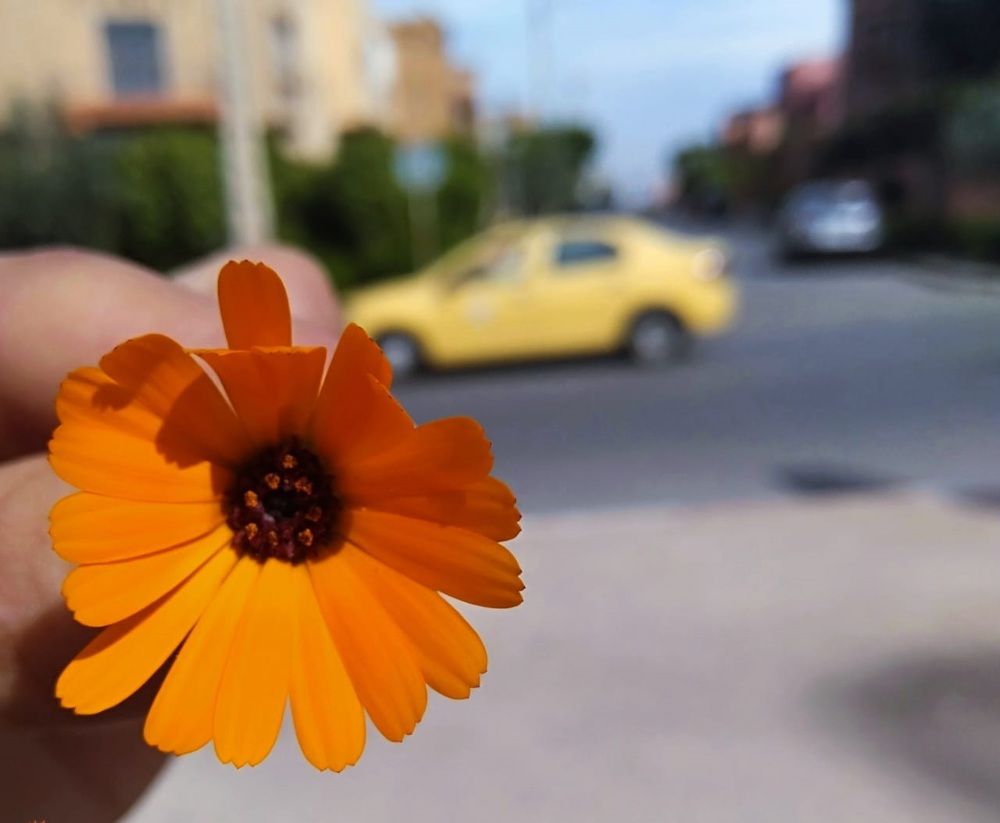 Photograph by Khadija Bouabid