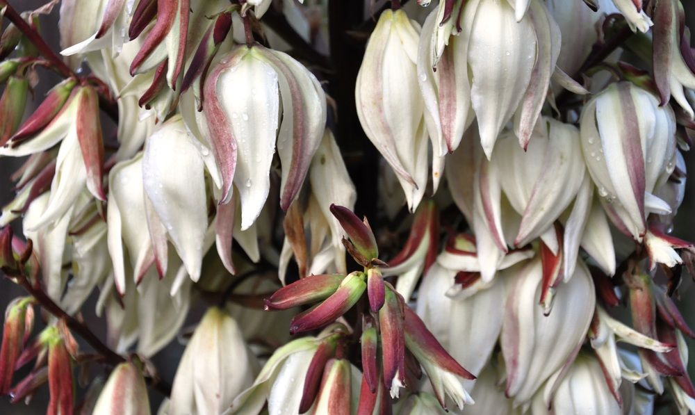 Photograph by Валерия Перфильева