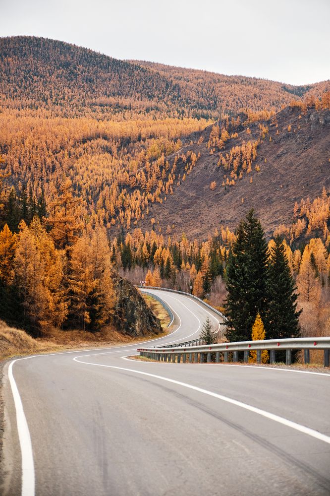 Фотография автора Владимир Эделев