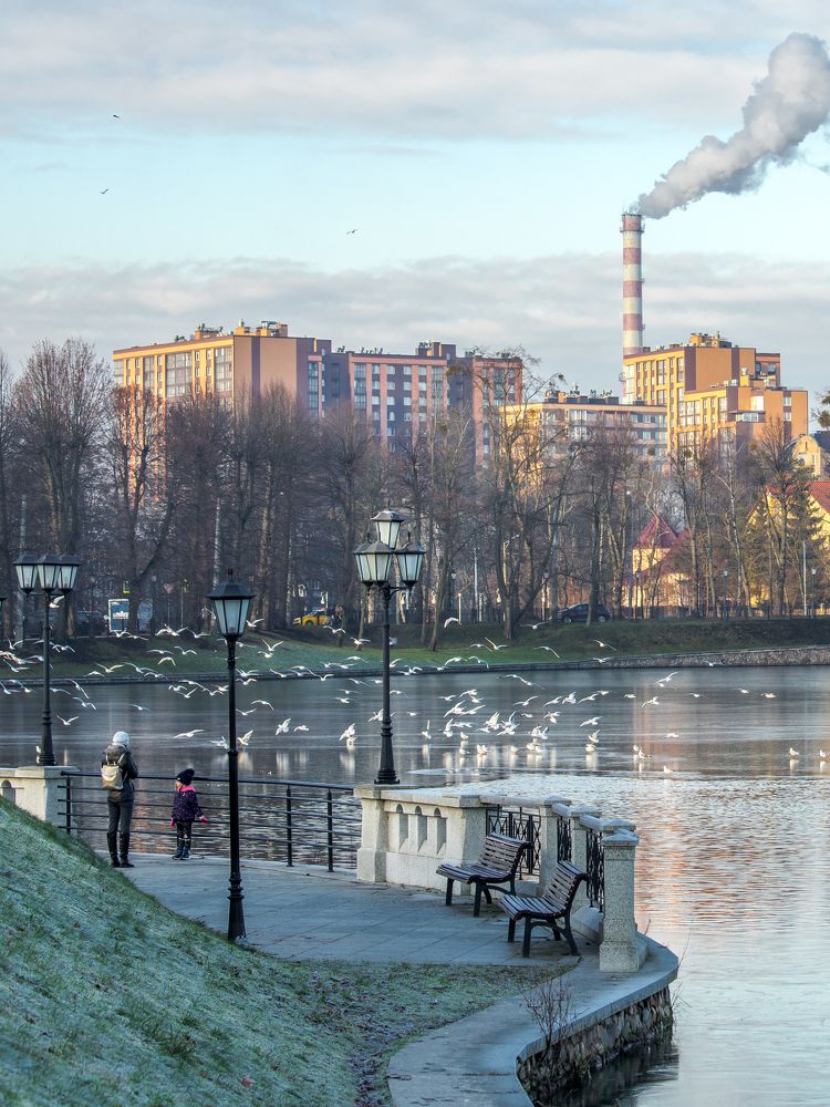 Photograph by Наталья Брюхненко