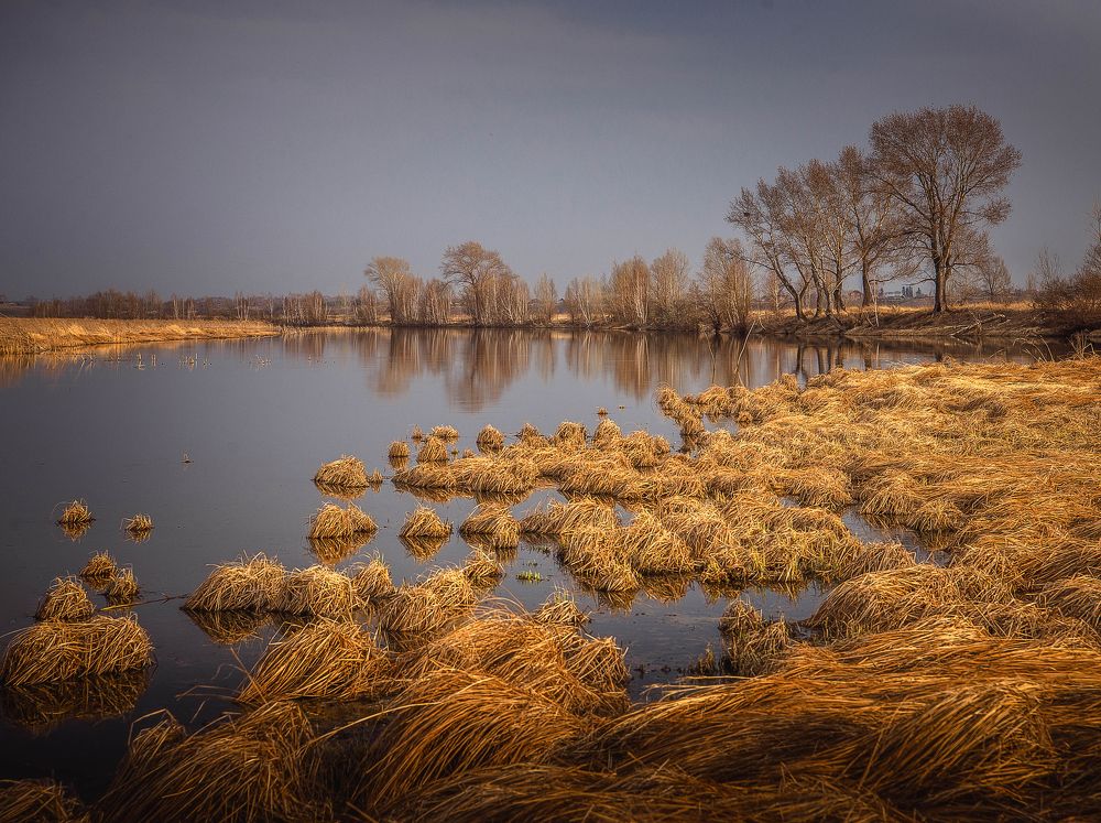 Photograph by Корнеевец Мария