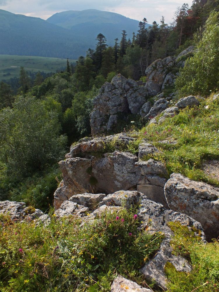 Photograph by Дмитрий Крылов