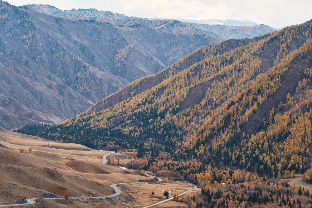 Фотография автора Владимир Эделев
