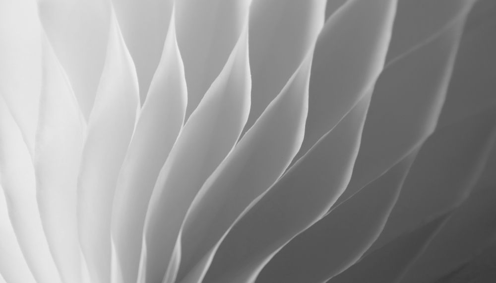 Photograph by Natalya Chumak