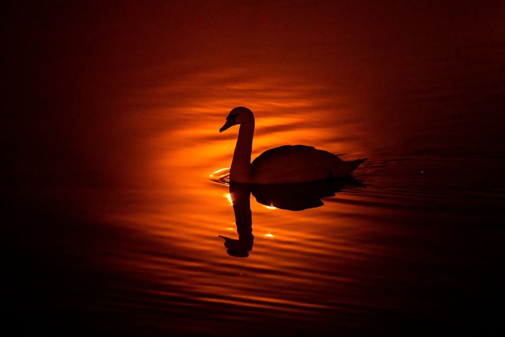 Photograph by Александр Тимохин