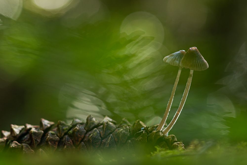 Photograph by João Santos