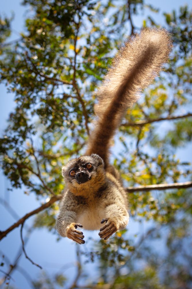 Фотография автора Елена Баврина