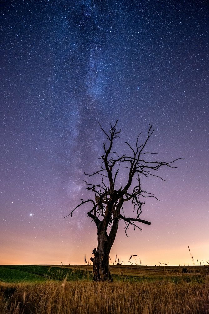 Photograph by Jan Ulicki