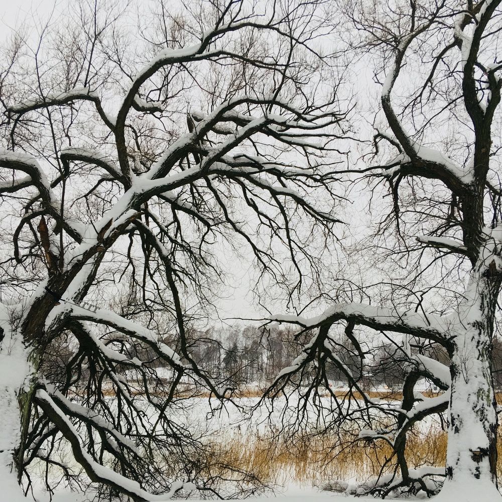 Photograph by Екатерина Мосолова