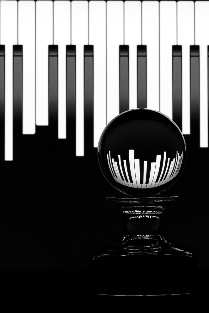 Photograph by Tamar Riabukha