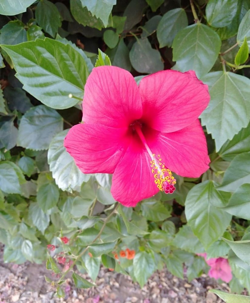 Photograph by Khadija Bouabid