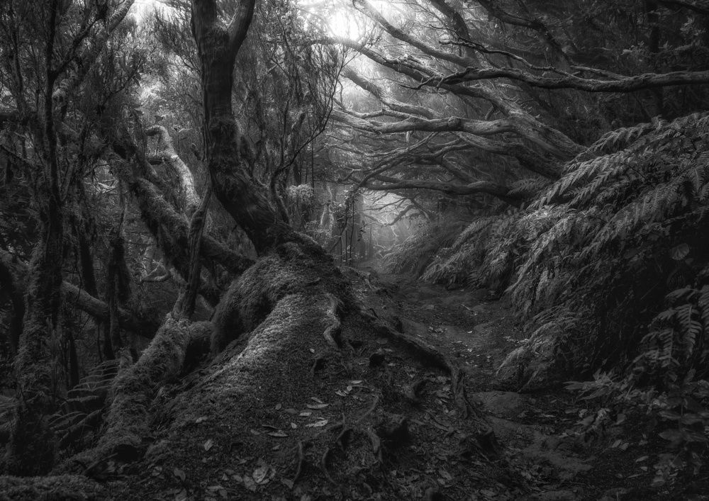 Photograph by Владимир Яськив