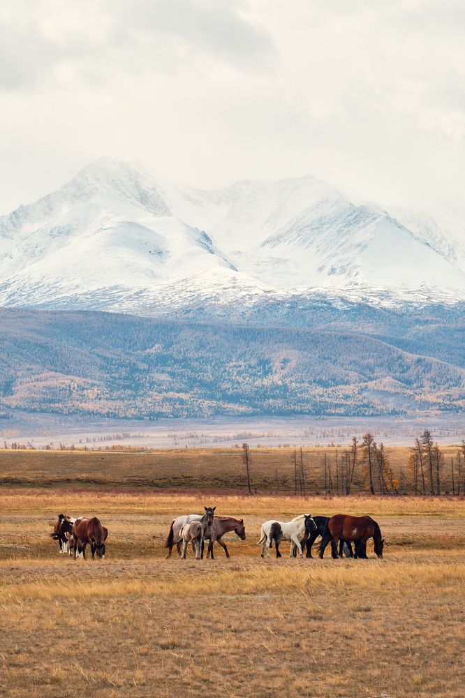 Фотография автора Владимир Эделев