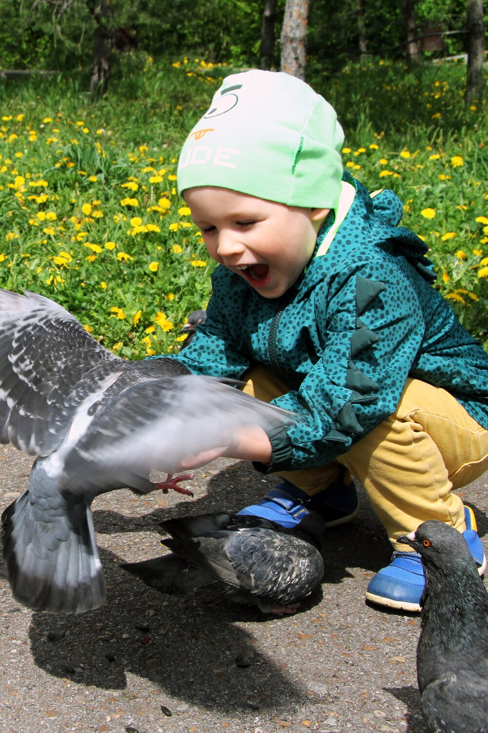 Photo #5897747