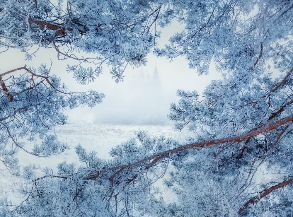 Photograph by Юлия Терехина