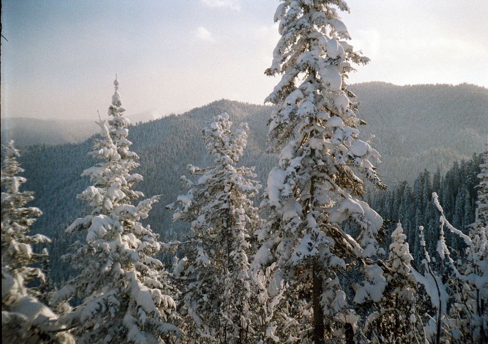 Фотография автора Иван Домарацкий