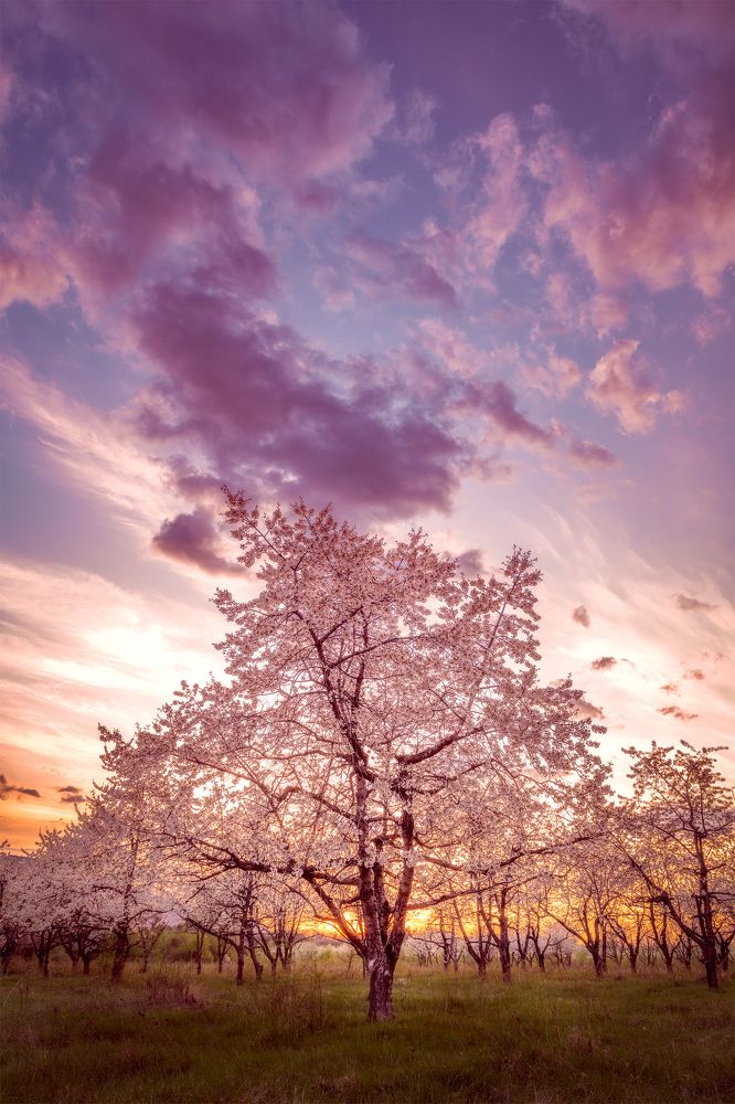 Фотография автора Nikolay Ivanov