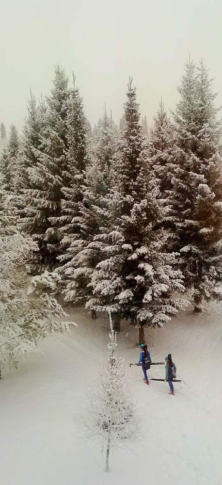 Photograph by Алла Максимович