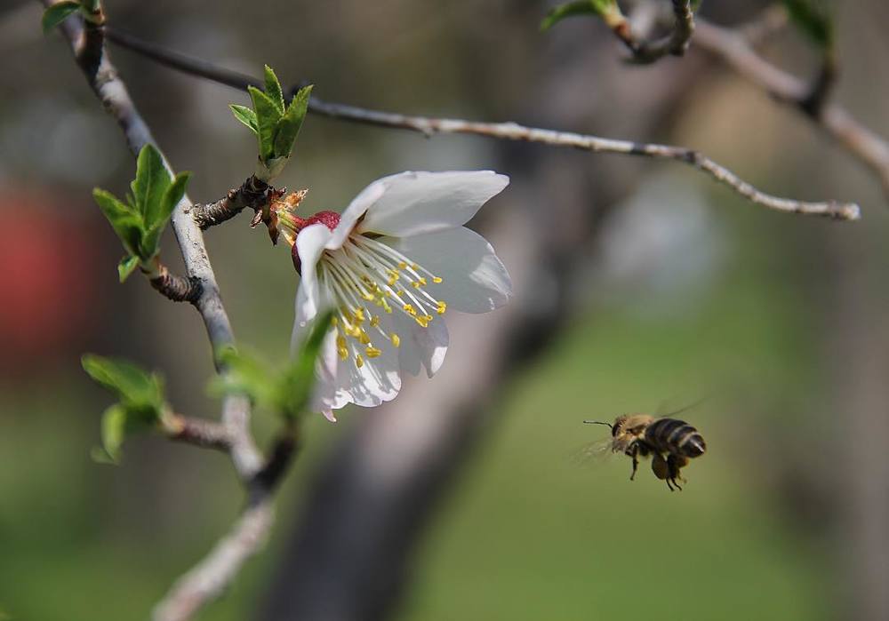 Photograph by Aleksandr Golubkov