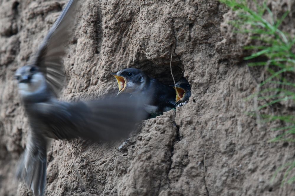 Фотография автора Юрий Калиногорский